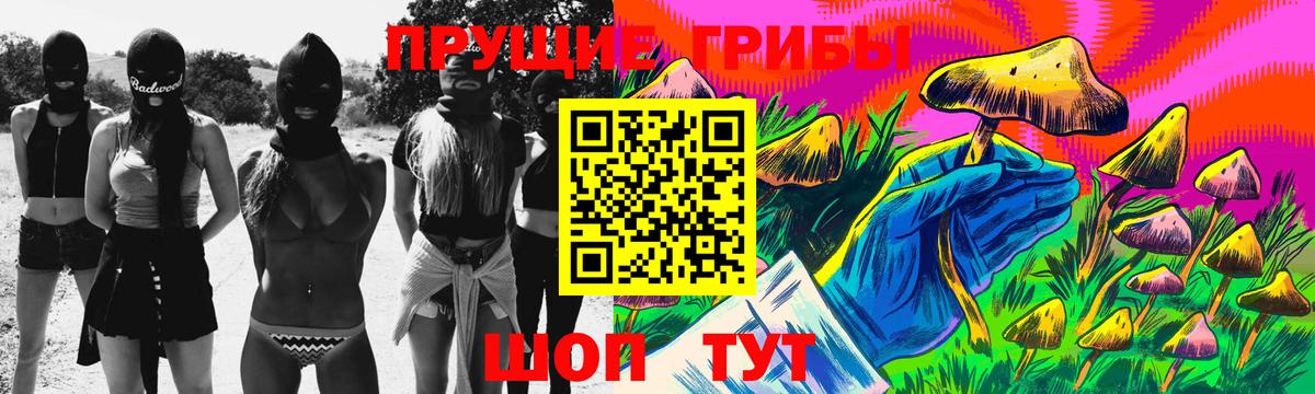 Галлюциногенные грибы прущие грибы Великий Устюг