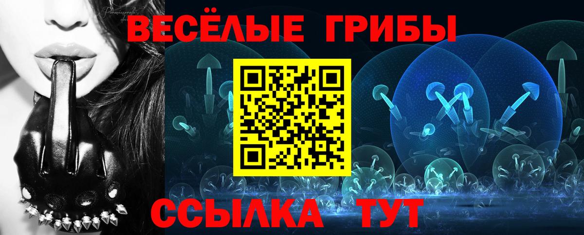 Псилоцибиновые грибы мухоморы  купить наркотик  Псилоцибиновые грибы Psilocybine cubensis  Великий Устюг  Вход с VPN 